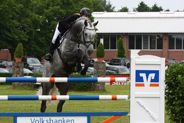 Bild 31 - Elmshorn am 9.6.10